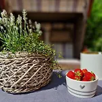 Hygge * Wyk auf Foehr